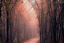 悟空体育：巴萨女足两回合10-2狼堡女足晋级欧冠四强，皮纳.