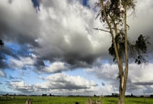 悟空体育:帕托回到了米兰内洛.