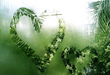 悟空体育：帕托回到了米兰内洛.