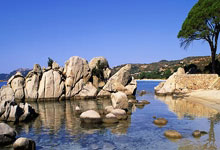 科尔威尔：和查洛巴搭档很棒；凯塞多让一切看起来都很轻松.